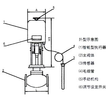 ZZWPE電動(dòng)溫控調節閥外形示意圖